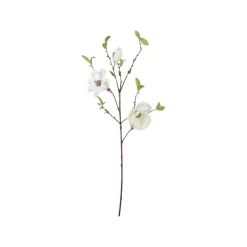 Magnolienzweig mit grünen Blättern | Weiß | 85cm