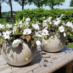 Magnolienzweig mit grünen Blättern | Weiß | 85cm