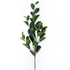 Mandarinenblatt | 90cm