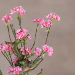 Mini-Blütenbaum | Charlotte | leuchtend Rosa | 100 cm