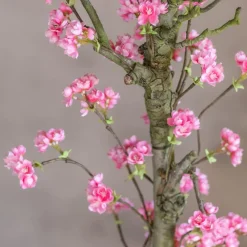 Mini-Blütenbaum Charlotte | leuchtend Rosa | 70 cm