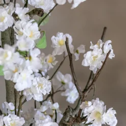 Mini-Blütenbaum Juliette | Weiß | 70 cm