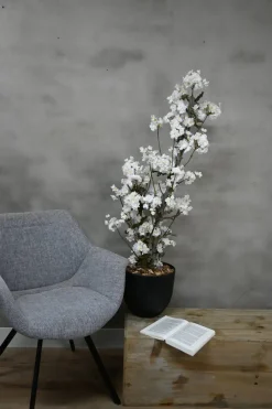 Mini-Blütenbaum Juliette | Weiß | 100 cm