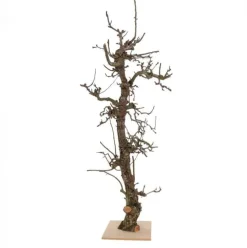Obstbaum groß | Natürlich | 150cm