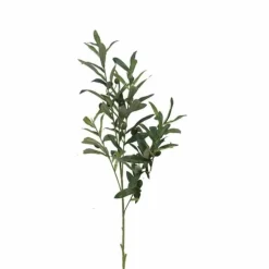 Olivenzweig | 70cm