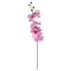Orchidee | Rosa | 75cm