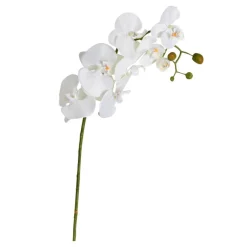 Orchidee | Weiß | 100cm