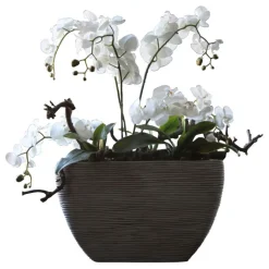 Orchidee | Weiß | 100cm