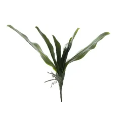 Orchideenblatt | Grün | 35cm