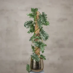 Philodendronblatt auf Stamm | Grün | 100cm