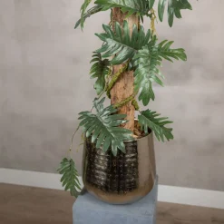 Philodendronblatt auf Stamm | Grün | 100cm