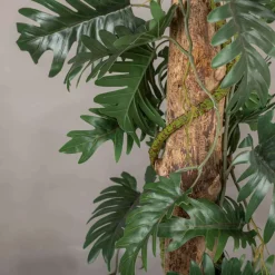 Philodendronblatt auf Stamm | Grün | 100cm