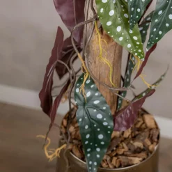 Punkt Pflanze Blatt auf Stamm | Rot-Grün | 100cm