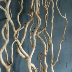 Raumteiler | Geschälte Korkenzieherweide | Mit Naturbelassenem Fuß | 165cm