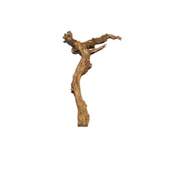 Rebholz | Knorrige Form | Länge 60-70 cm