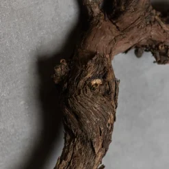 Rebholz | Länge 40-50 cm