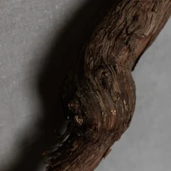 Rebholz | Länge 40-50 cm