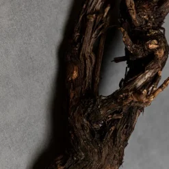 Rebholz | Länge 40-50 cm