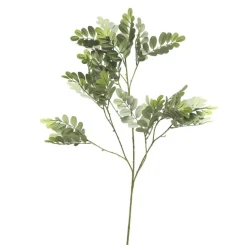 Robinienzweig | 95cm