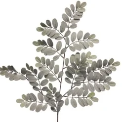 Robinienzweig | Grau-Grün | 70cm