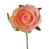 Rose | Gelb-Rosa | 15cm