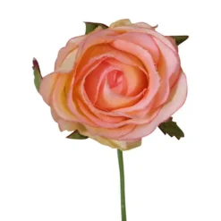 Rose | Gelb-Rosa | 15cm
