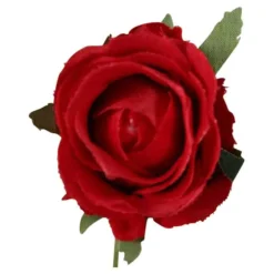 Rose | Rot | 15cm