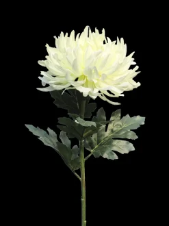 Seiden-Chrysantheme | Creme | 65 cm