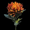 Seiden-Chrysantheme | Kupferfarben | 65 cm