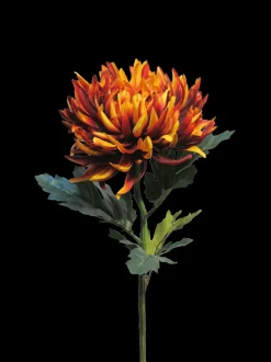 Seiden-Chrysantheme | Kupferfarben | 65 cm