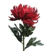 Seiden-Chrysantheme | Rot | 65 cm