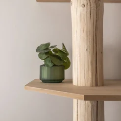 Stellen Sie Ihr Baumstamm-Eckregal Tarik selbst zusammen | 250 cm