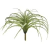 Tillandsia Grün Groß | 25 cm