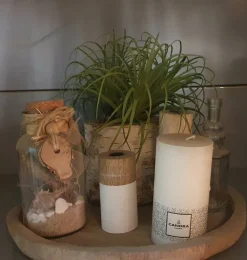 Tillandsia Grün Groß | 25 cm