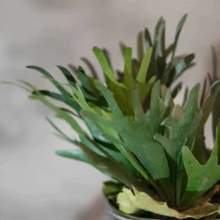 Topf Hirschhorn | 45cm