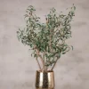 Topf Olivenzweig | 80cm