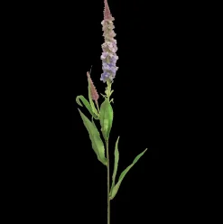 Veronica-Seidenblume | Violett | 75 cm