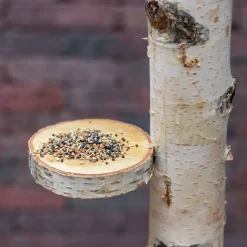 Vogelbaum Charlie | mit Sitz | 100 cm