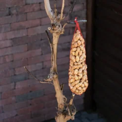 Vogelbaum Luna | 120 cm