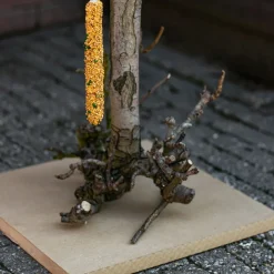 Vogelbaum Rani | mit Sitz | 75 cm