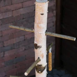 Vogelbaum Zazou | 100 cm