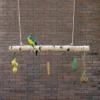 Vogelschaukel | Birkenstamm | 150 cm