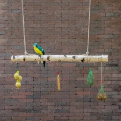 Vogelschaukel | Birkenstamm | 150 cm