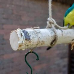 Vogelschaukel | Birkenstamm | 150 cm