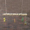 Vogelschaukel | Birkenstamm | 100 cm