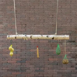 Vogelschaukel | Birkenstamm | 100 cm