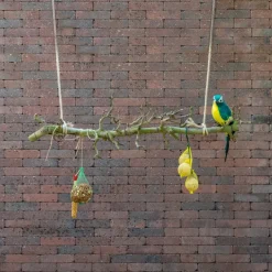 Vogelschaukel | Birnenzweig | 80 cm