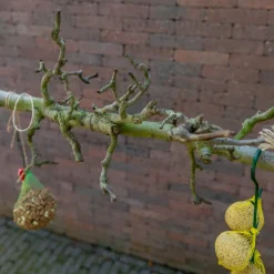 Vogelschaukel | Birnenzweig | 80 cm