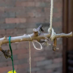 Vogelschaukel | sandgestrahlter Birnenzweig | 120 cm