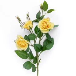 Wildrose | Gelb | 75cm